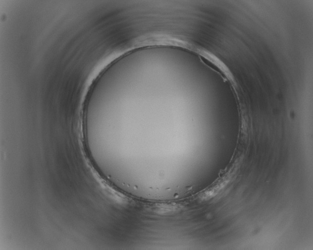 X0000077351144200611031814