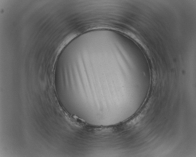 X0000077351145200611031815