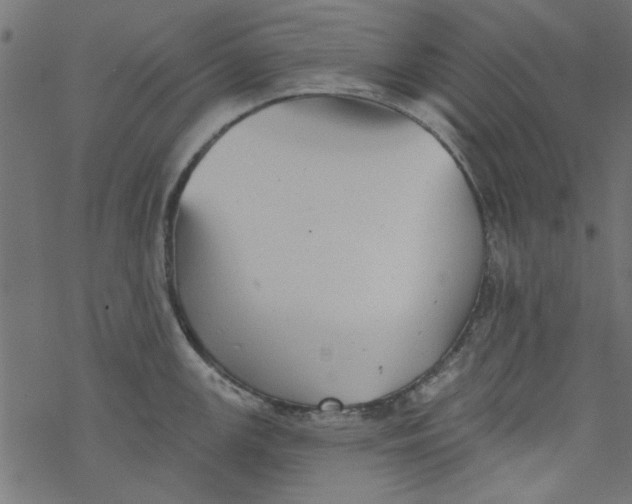 X0000077351147200611031815