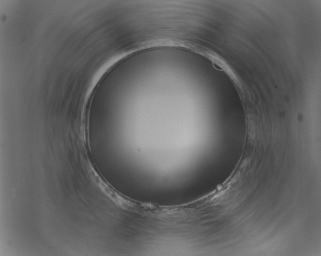 X0000077351148200611031815