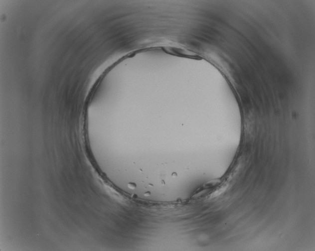 X0000077351149200611031815