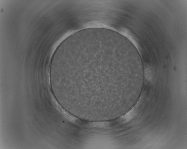 X0000077351150200611031815