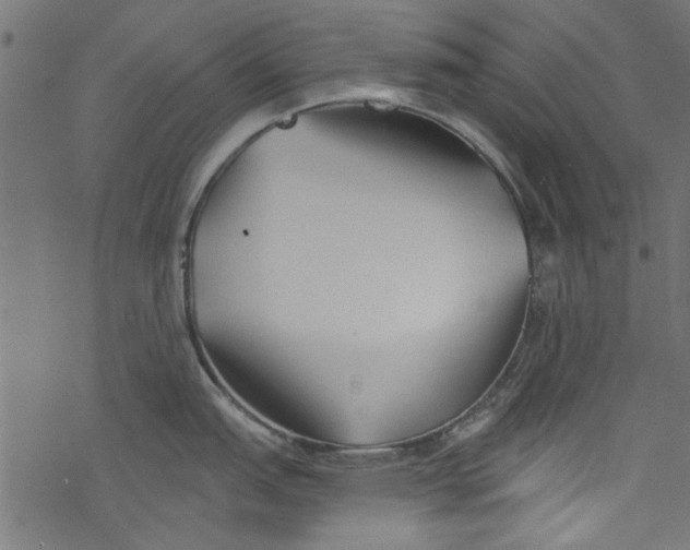 X0000077351151200611031815