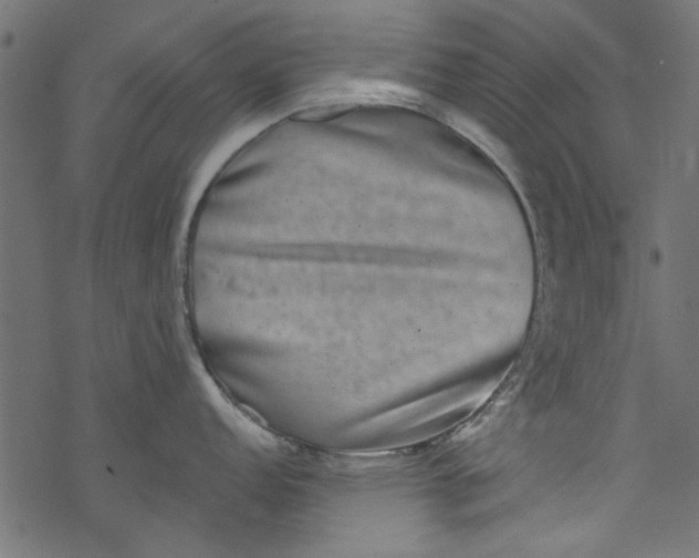 X0000077351152200611031815