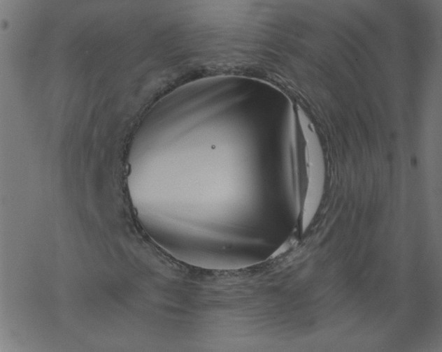 X0000077351153200611031814