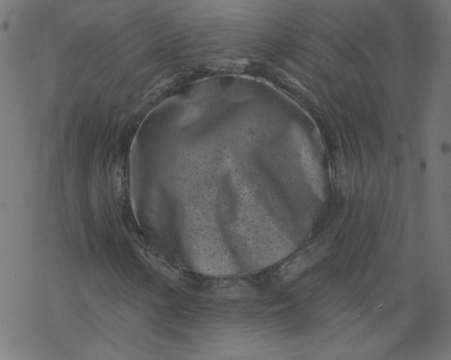 X0000077351154200611031814