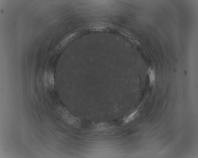 X0000077351155200611031814