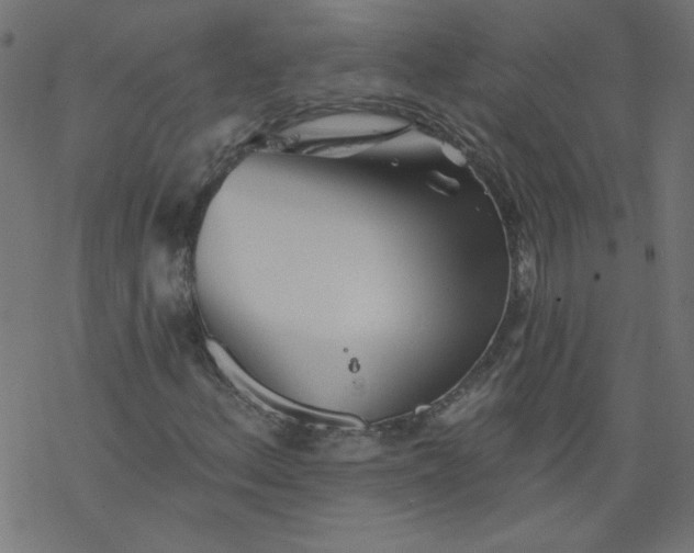 X0000077351156200611031814