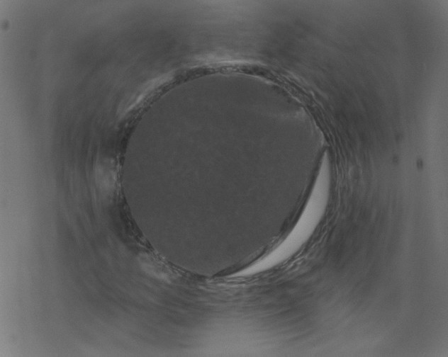 X0000077351157200611031814