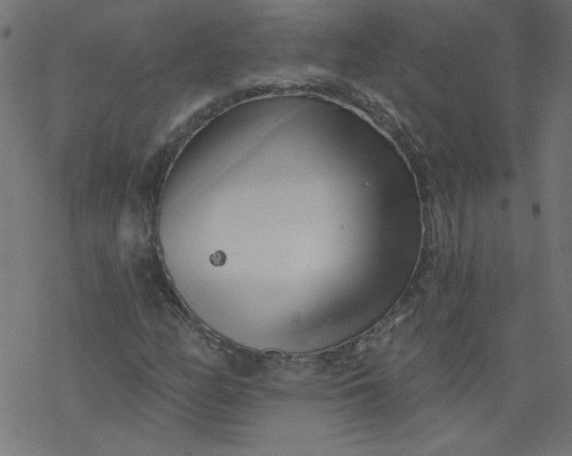 X0000077351158200611031814