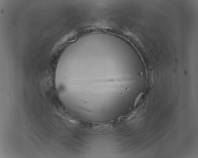 X0000077351159200611031814