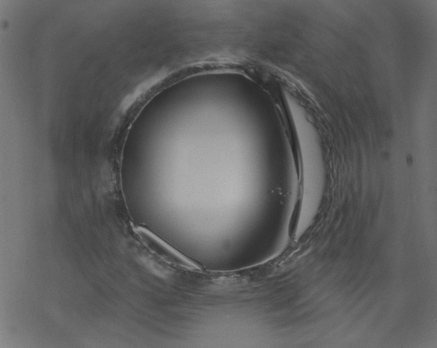 X0000077351160200611031814