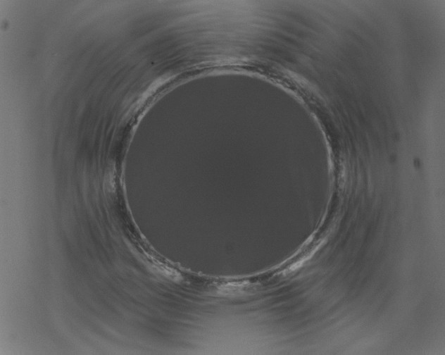 X0000077351161200611031814