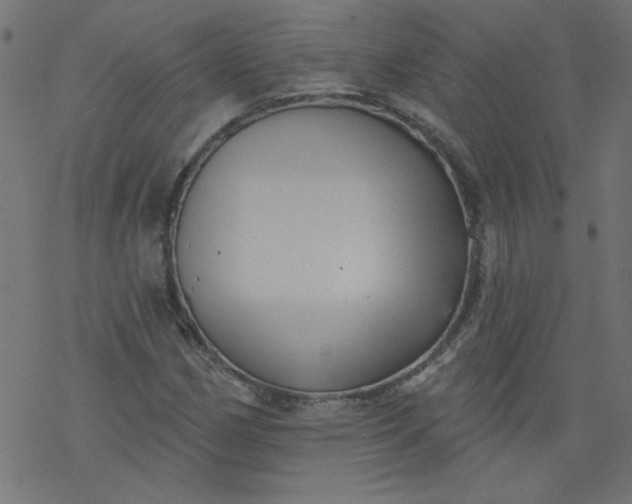 X0000077351162200611031814