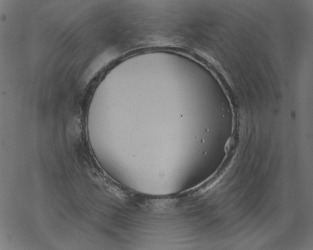 X0000077351163200611031814