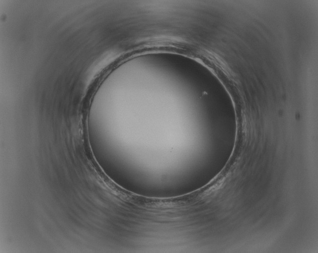 X0000077351164200611031814