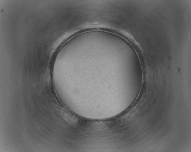 X0000077351167200611031814