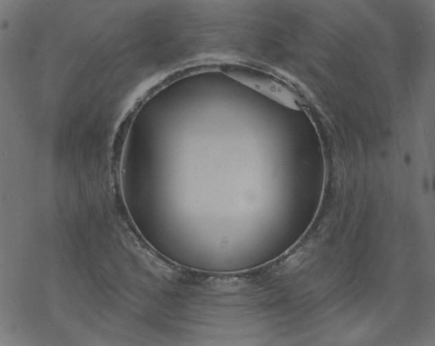 X0000077351168200611031814