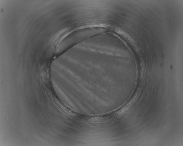 X0000077351169200611031814