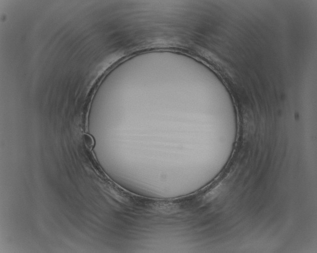 X0000077351170200611031814