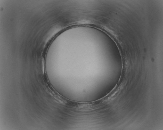 X0000077351171200611031814