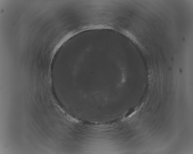 X0000077351173200611031814