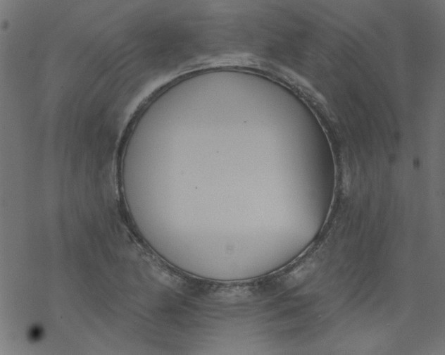 X0000077351174200611031813