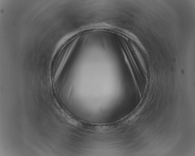 X0000077351176200611031813