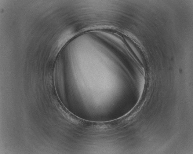 X0000077351177200611031813