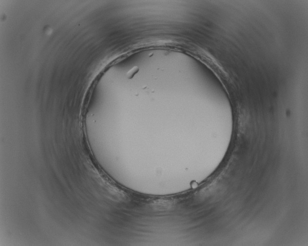 X0000077351178200611031813