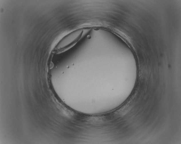 X0000077351179200611031813