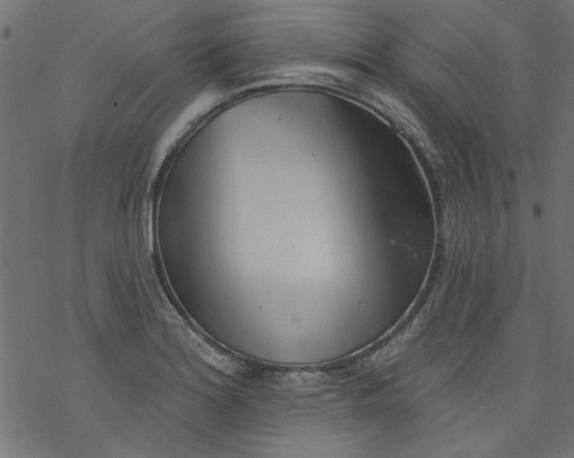 X0000077351180200611031813