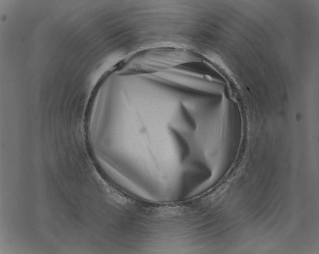 X0000077351181200611031813