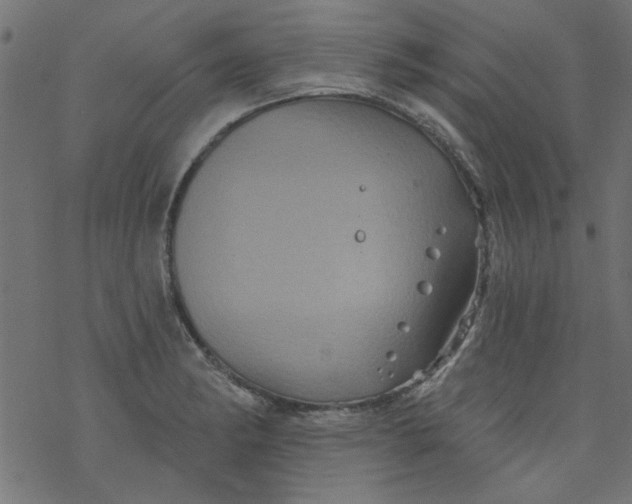 X0000077351182200611031813