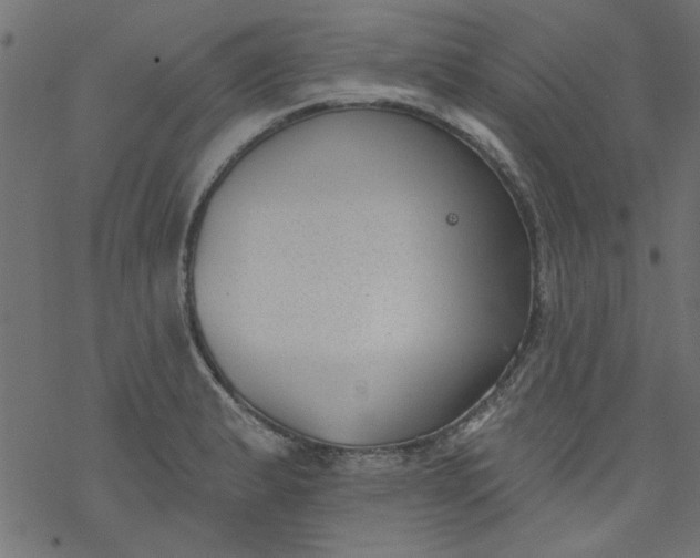 X0000077351183200611031813