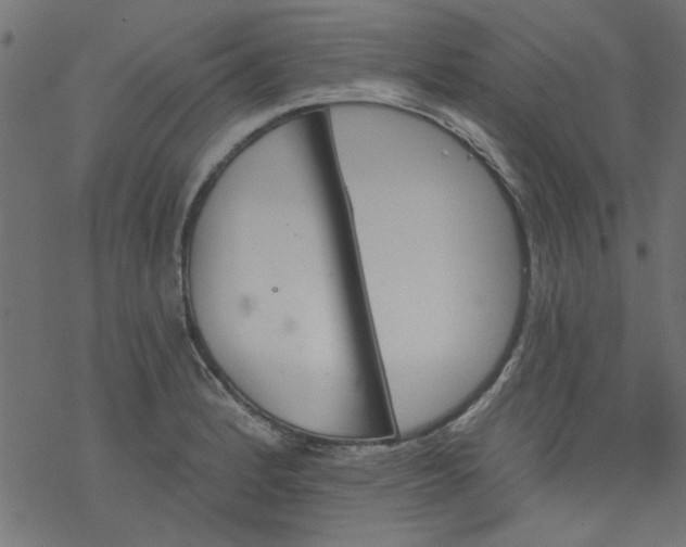 X0000077351184200611031813