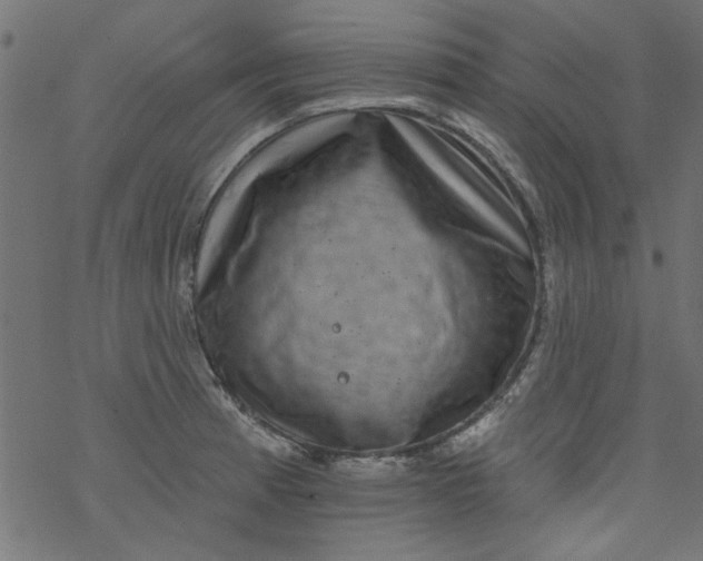 X0000077351185200611031813