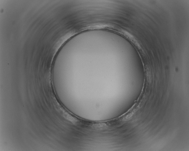 X0000077351186200611031813