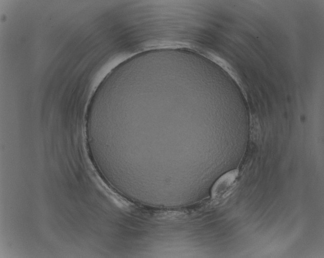 X0000077351187200611031813