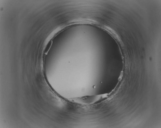 X0000077351188200611031813