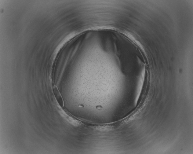 X0000077351189200611031813