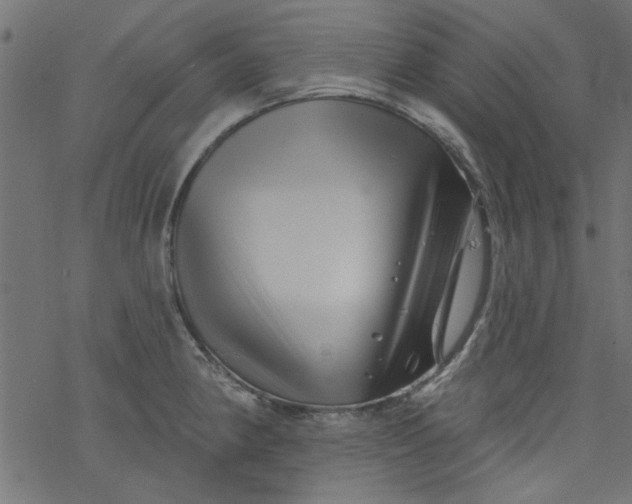 X0000077351190200611031813