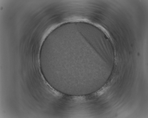 X0000077351191200611031813