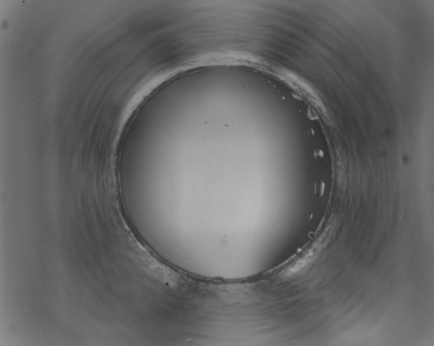 X0000077351192200611031813