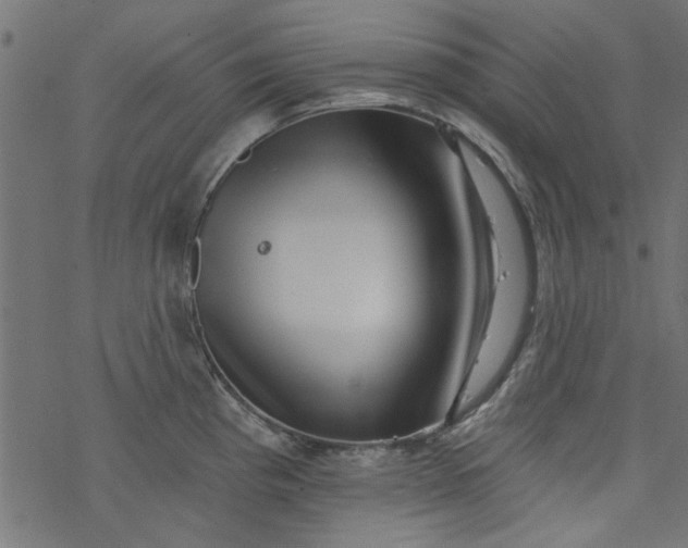 X0000077351193200611031813