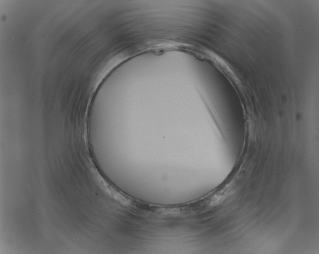 X0000077351194200611031813