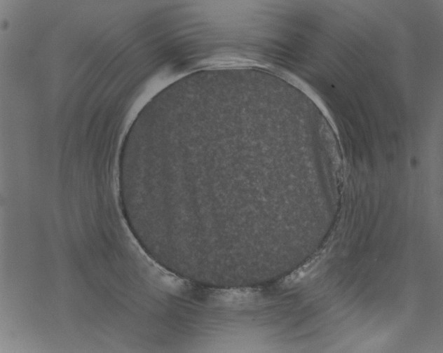 X0000077351195200611031813