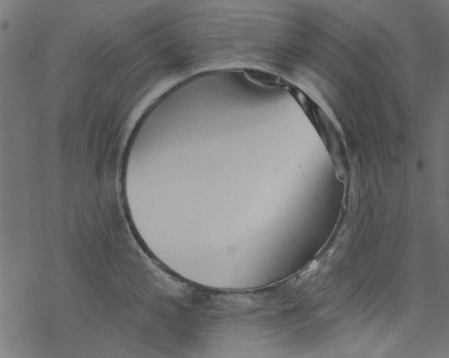 X0000077351197200611031813