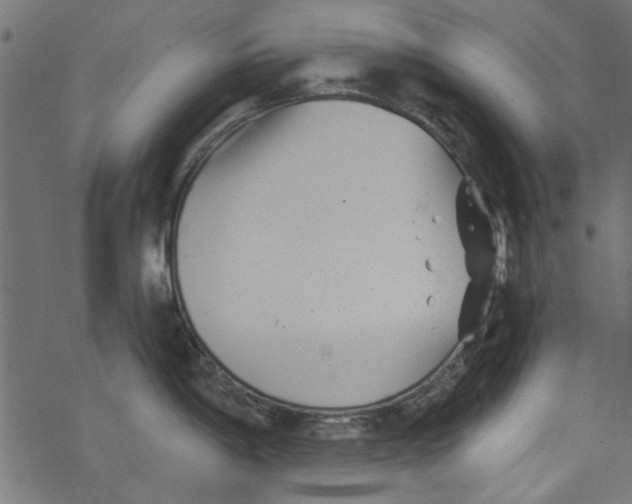 X0000077351198200611031813