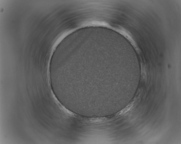 X0000077351199200611031813